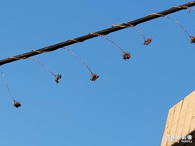 上班無(wú)聊跑出來(lái)