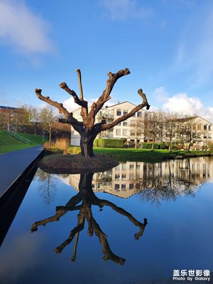 Capelle冬日暖陽(yáng)