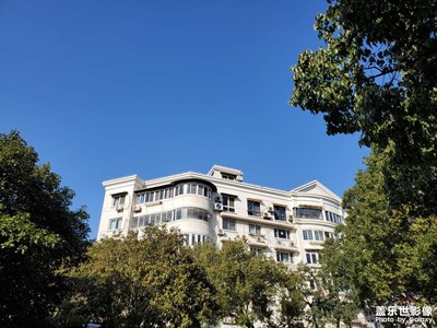今天陽光明媚