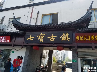 【隨拍的樂趣】+&