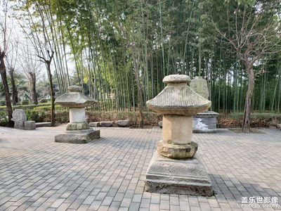 【隨拍的樂趣】+長安游