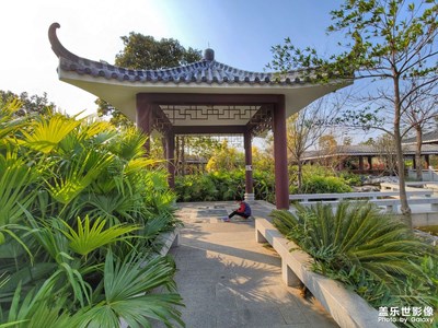 剛?cè)胧值膎ote20ultra公園隨拍