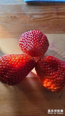 【奇妙之城】重慶生活