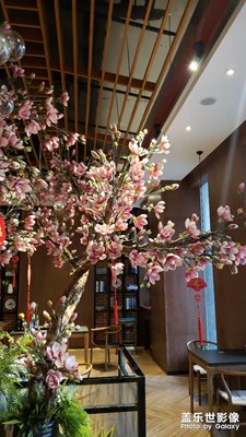 看透風(fēng)花雪月,依然勇闖天涯