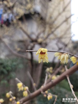 1億像素還是可以的