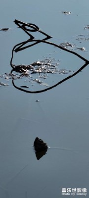 發(fā)現(xiàn)冬季之美