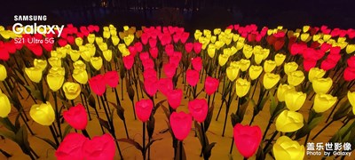 冰雪長春的白+黑（組圖）