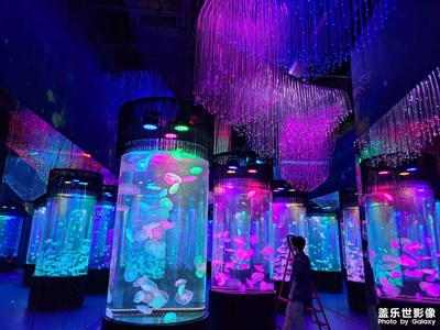 【光影記】+海洋館