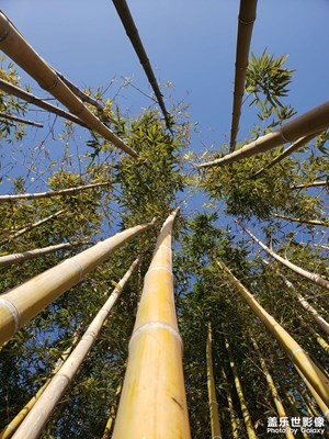 安安靜靜的生活