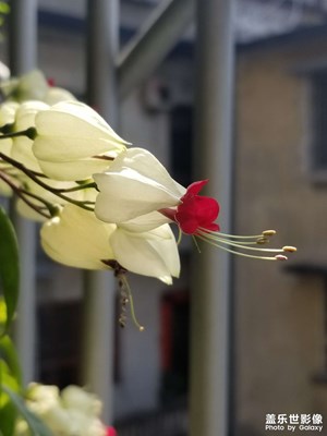 沒有一個(gè)春天不會(huì)到來