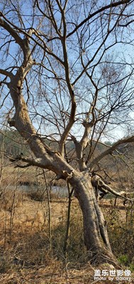 【光影記】+午后陽光