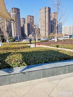 公園隨拍