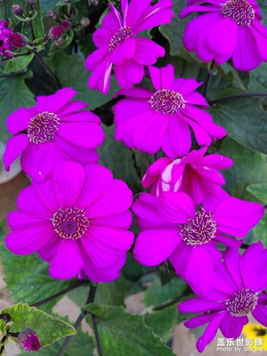 彩云之南～昆明