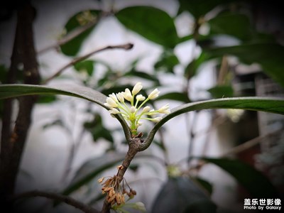 2021，立春！