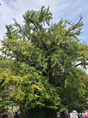 回不去的是故鄉(xiāng)