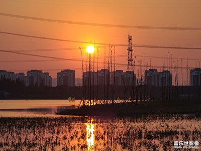 萬事別買第一代，三星也不例外…
