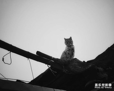 【遇見美好】+生活