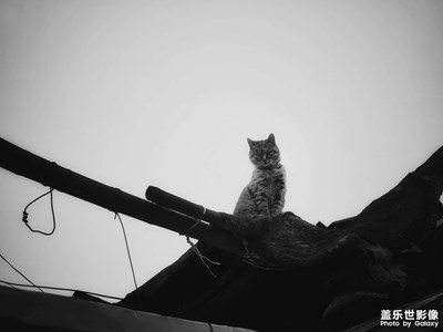 【遇見生活】+美好