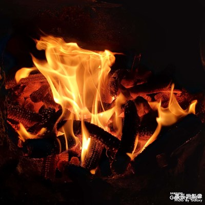 【精彩翻倍】濾鏡底下的世界