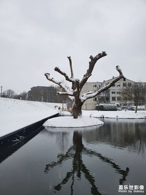 近20年荷蘭最低氣溫的第一場(chǎng)雪