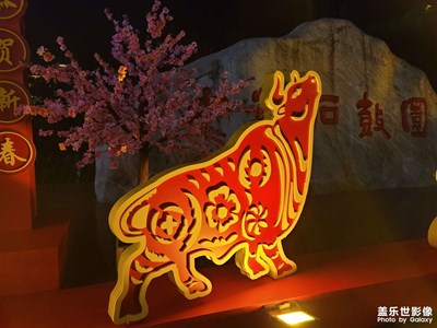 【福致新春】+實(shí)鼠不易,牛轉(zhuǎn)錢(qián)坤