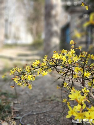 哎。。。轉(zhuǎn)轉(zhuǎn)