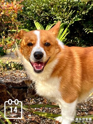 n20u,雖然不是最好的硬件，總體還好