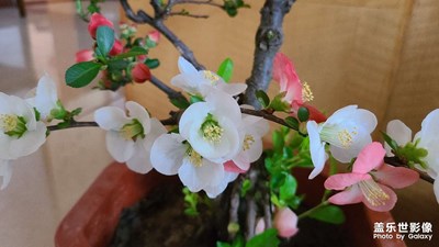 也是隨手拍哈哈