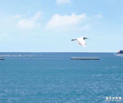 S21 Ultra海邊隨拍