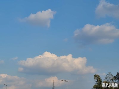 好漂亮的棉花糖…