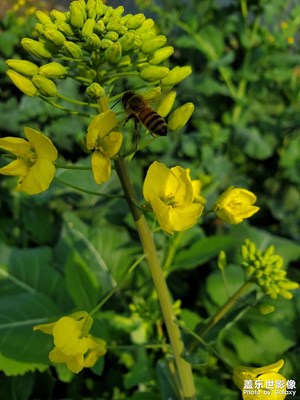 【大國(guó)小家】+春風(fēng)