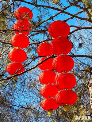 大紅燈籠高高掛