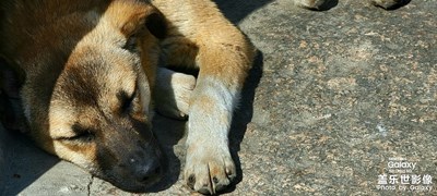 換了s21u，繼續(xù)更新隨拍~