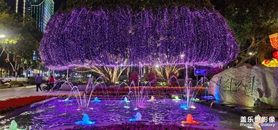 新年快樂  春節(jié)快樂  美美的漳州龍文區(qū)花燈