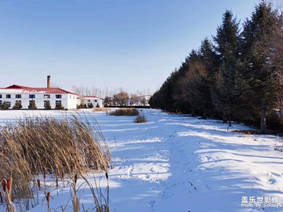 哈爾濱雪世界