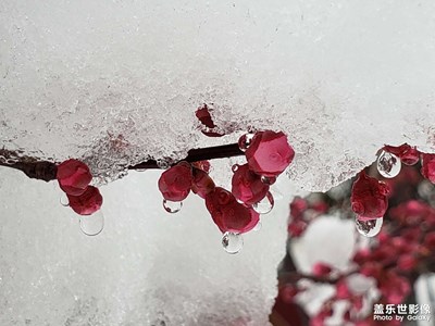 下雪的風(fēng)景（2）