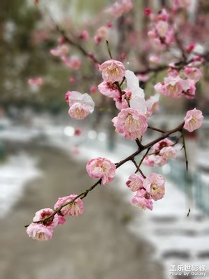 下雪的風(fēng)景（1）