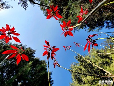 人說(shuō)大理好風(fēng)光