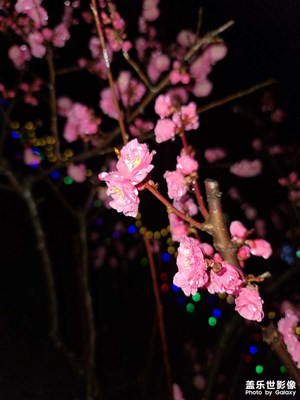 夜晚隨拍