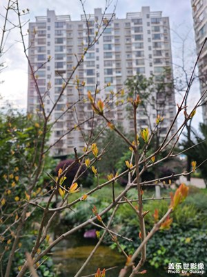 二月再見(jiàn)，三月你好！