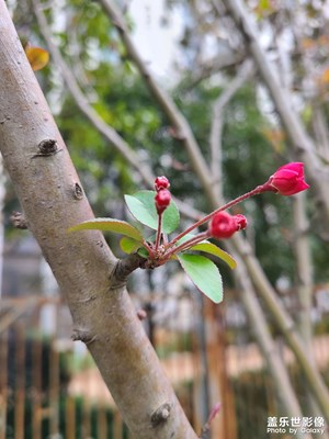 開(kāi)學(xué)啦