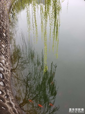 啦啦啦～～！??！