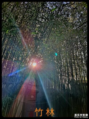 手機(jī)逆光拍攝能力挺強(qiáng)