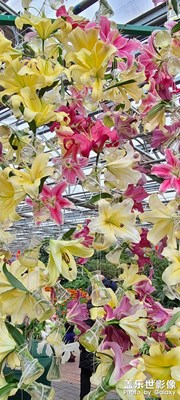 我一年發(fā)一次啊