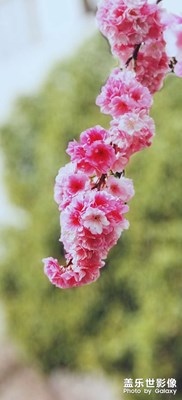 女神節(jié)快樂(lè)