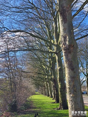一雷驚蟄始，微雨眾卉新。