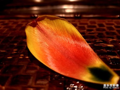 S21u的相機(jī)??還是得夸