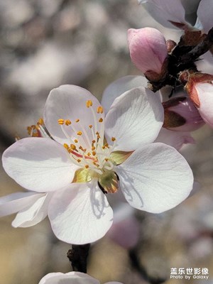 又是一年春來(lái)到