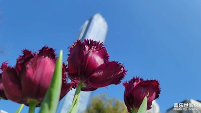 我和春天有個(gè)約會(huì)