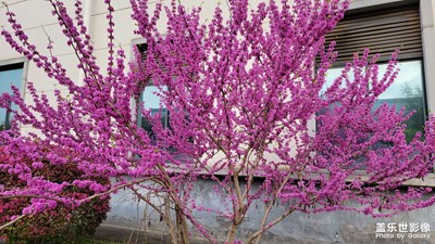 【光影魅力】+美麗凈色